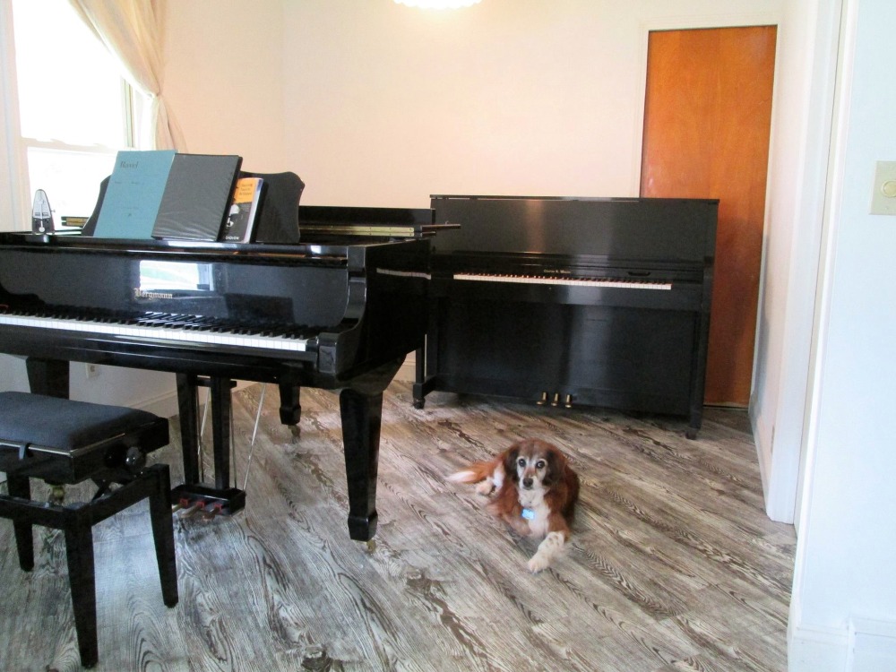 Image of a sunny room with two pianos and a dog